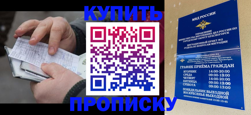 временная регистрация недорого в Амурской области